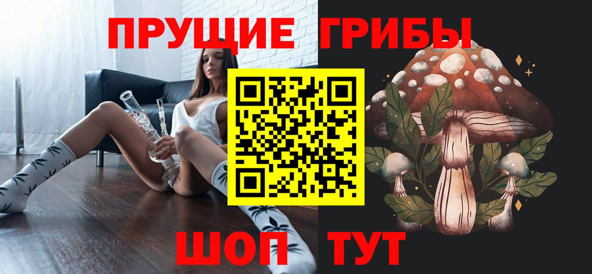 Гай  где найти   Вход с VPN  Галлюциногенные грибы ЛСД 